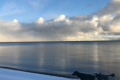 gallery_v1_17