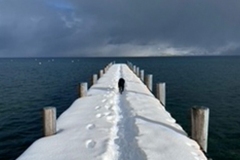 gallery_v1_20