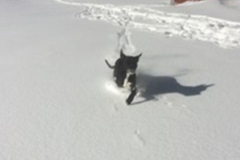 gallery_v1_21