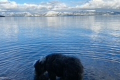 gallery_v1_06