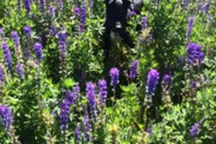 gallery_v1_09